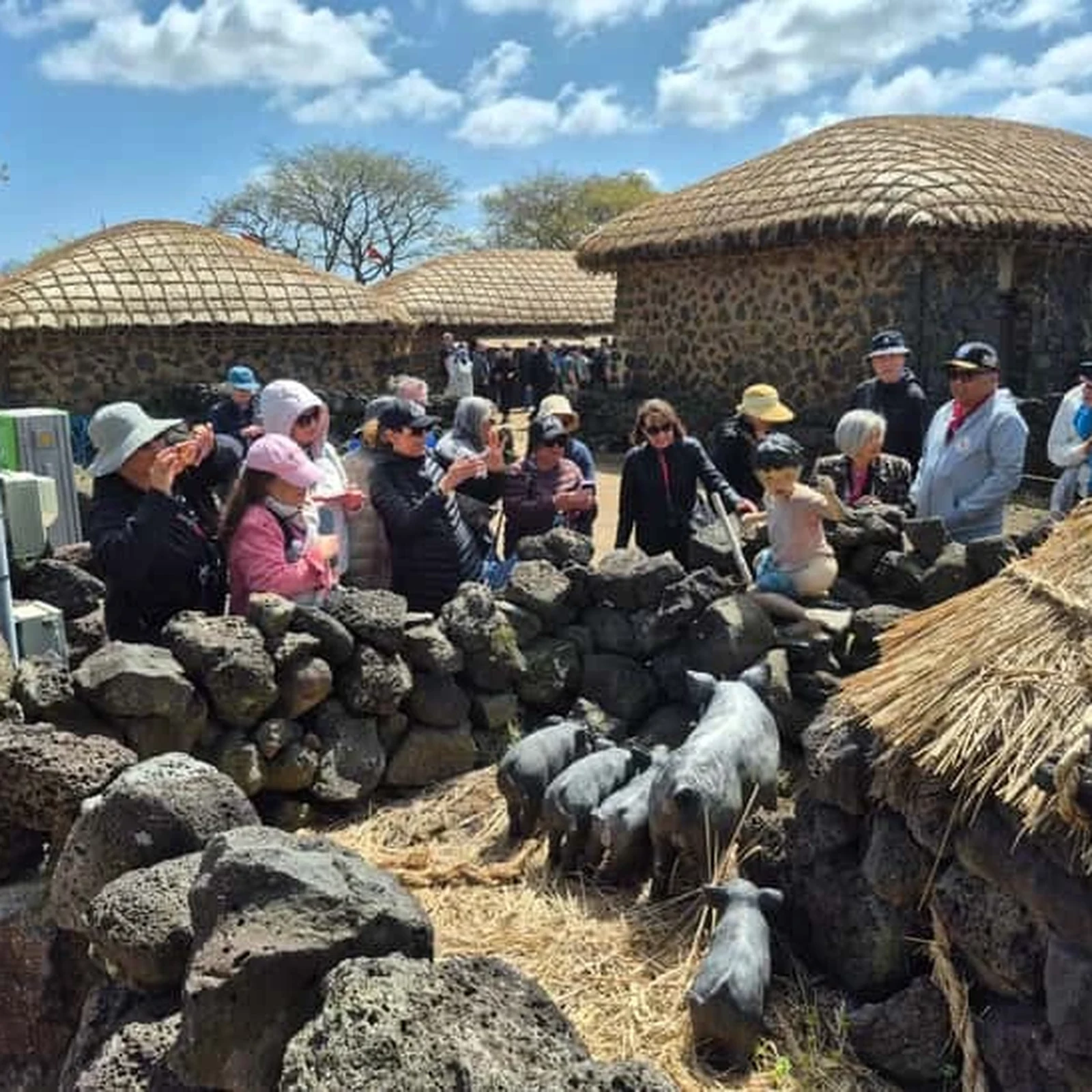 East Jeju UNESCO tour through volcanoes and Haenyeo culture