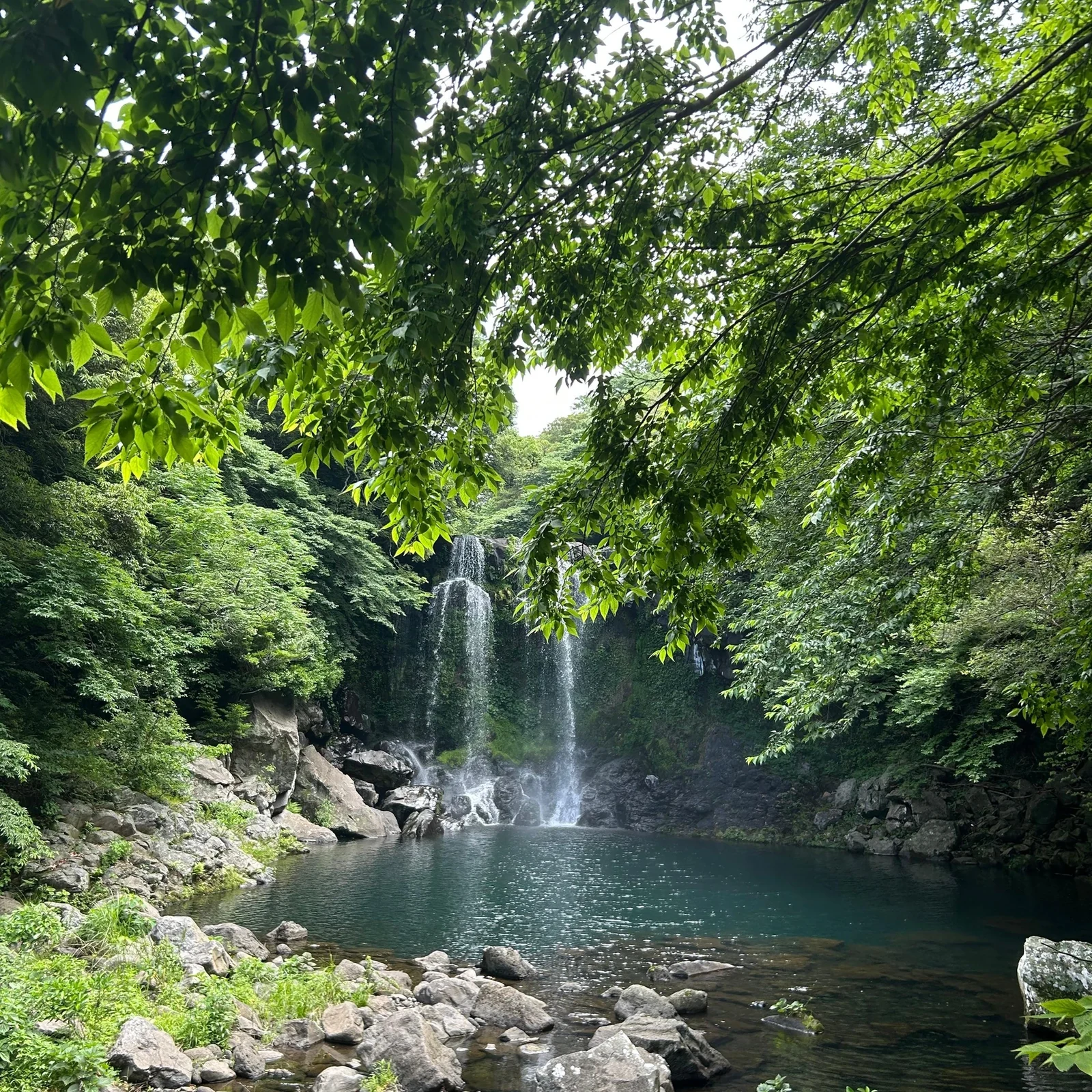 Tour por el oeste y sur de Jeju: Hallasan y cascadas en un día