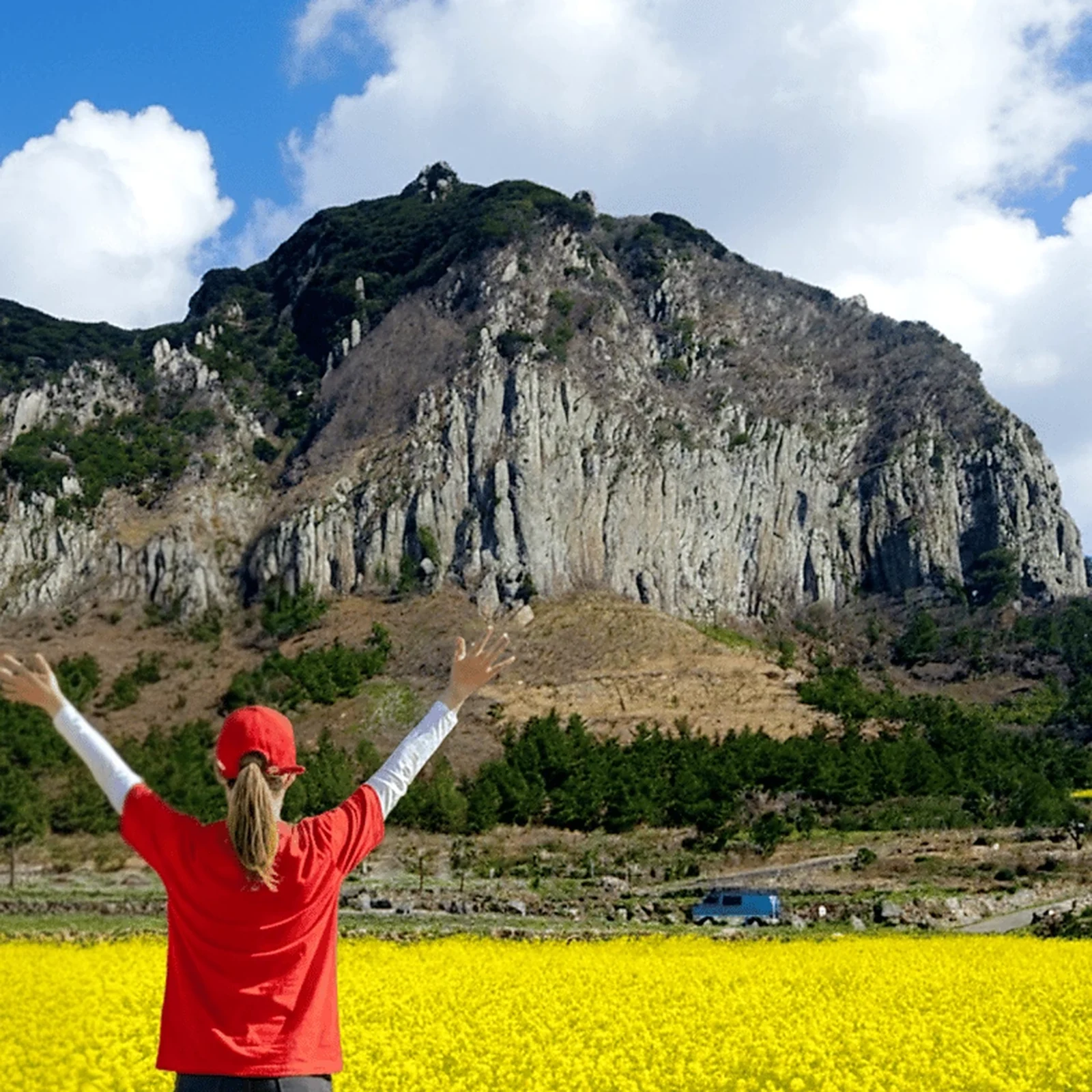 Circuit dans le sud-ouest de Jeju entre Hallasan et paysages volcaniques