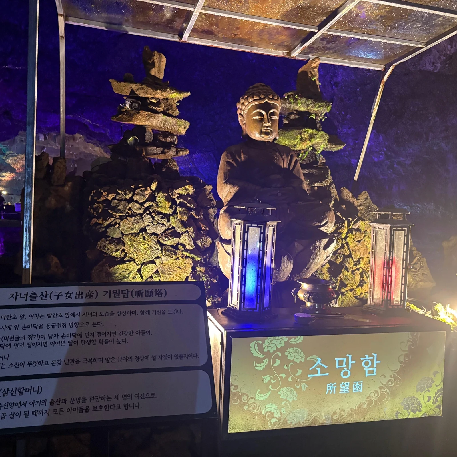 Ost-Jeju-Tour ab Jungmun und Seogwipo: Lohnt sich die Buchung?