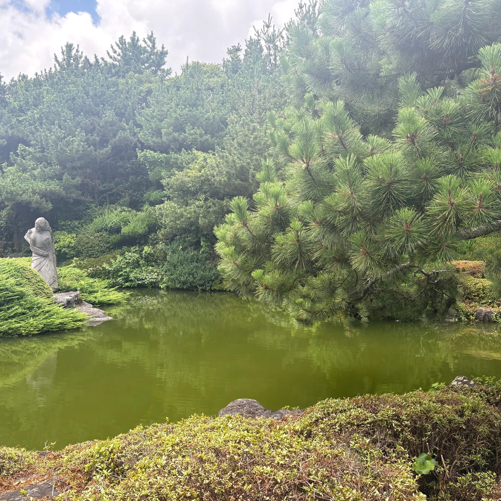 Eastern Jeju Tour from Jungmun and Seogwipo: Is It Worth Booking?