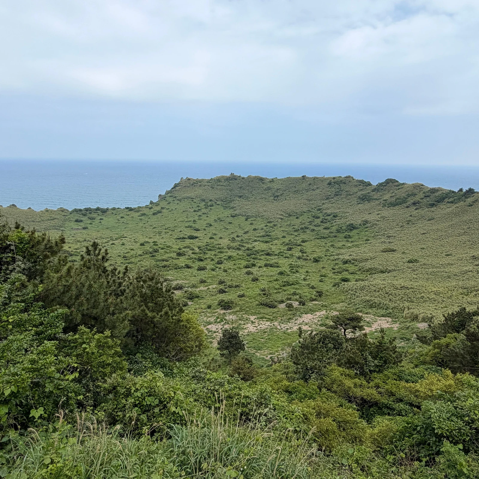 Eastern Jeju Tour from Jungmun and Seogwipo: Is It Worth Booking?