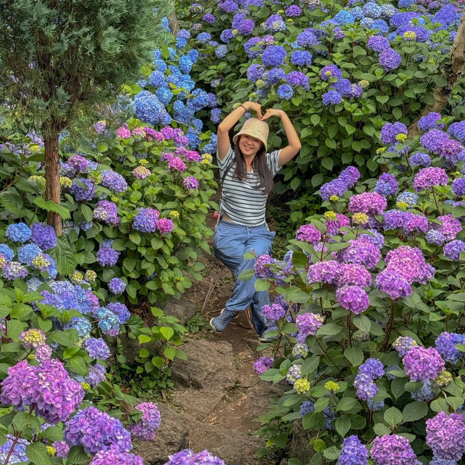Excursion privée sur l’île de Jeju selon vos envies