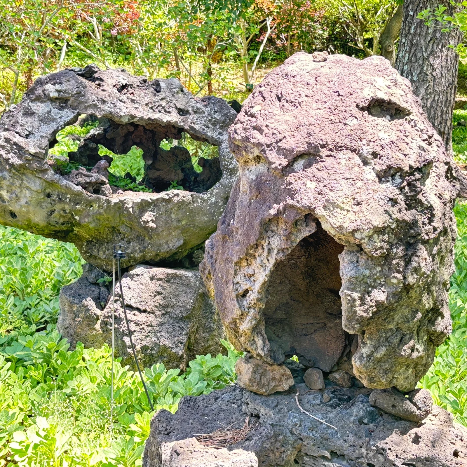 Private Jeju taxi tour with a route tailored to you