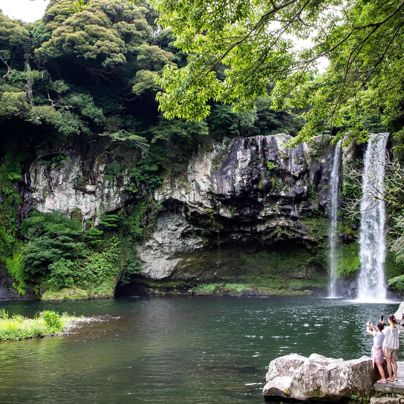 Mount Hallasan and South Jeju Coast Tour