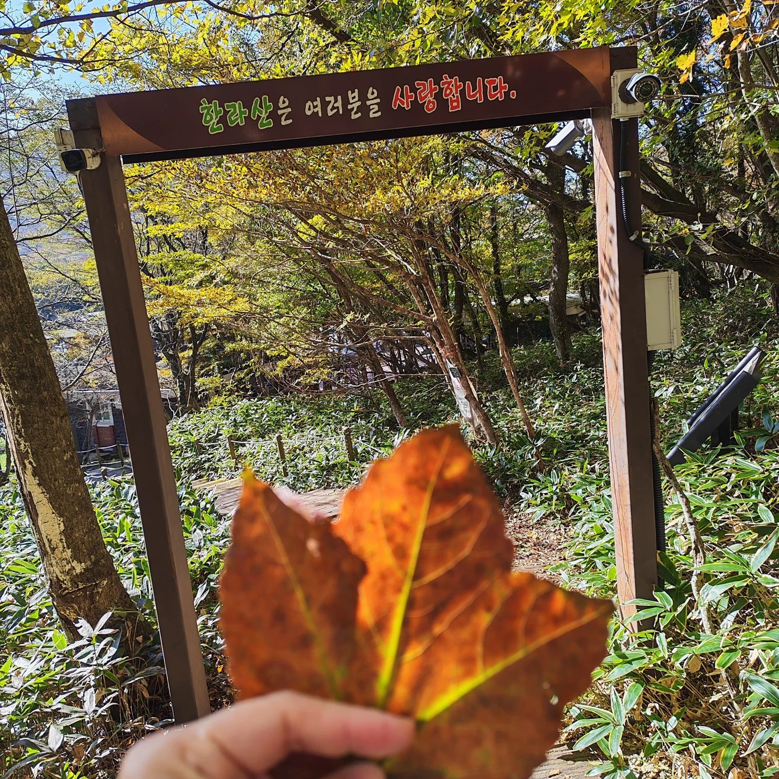 Tour zum Hallasan und an die Südküste von Jeju