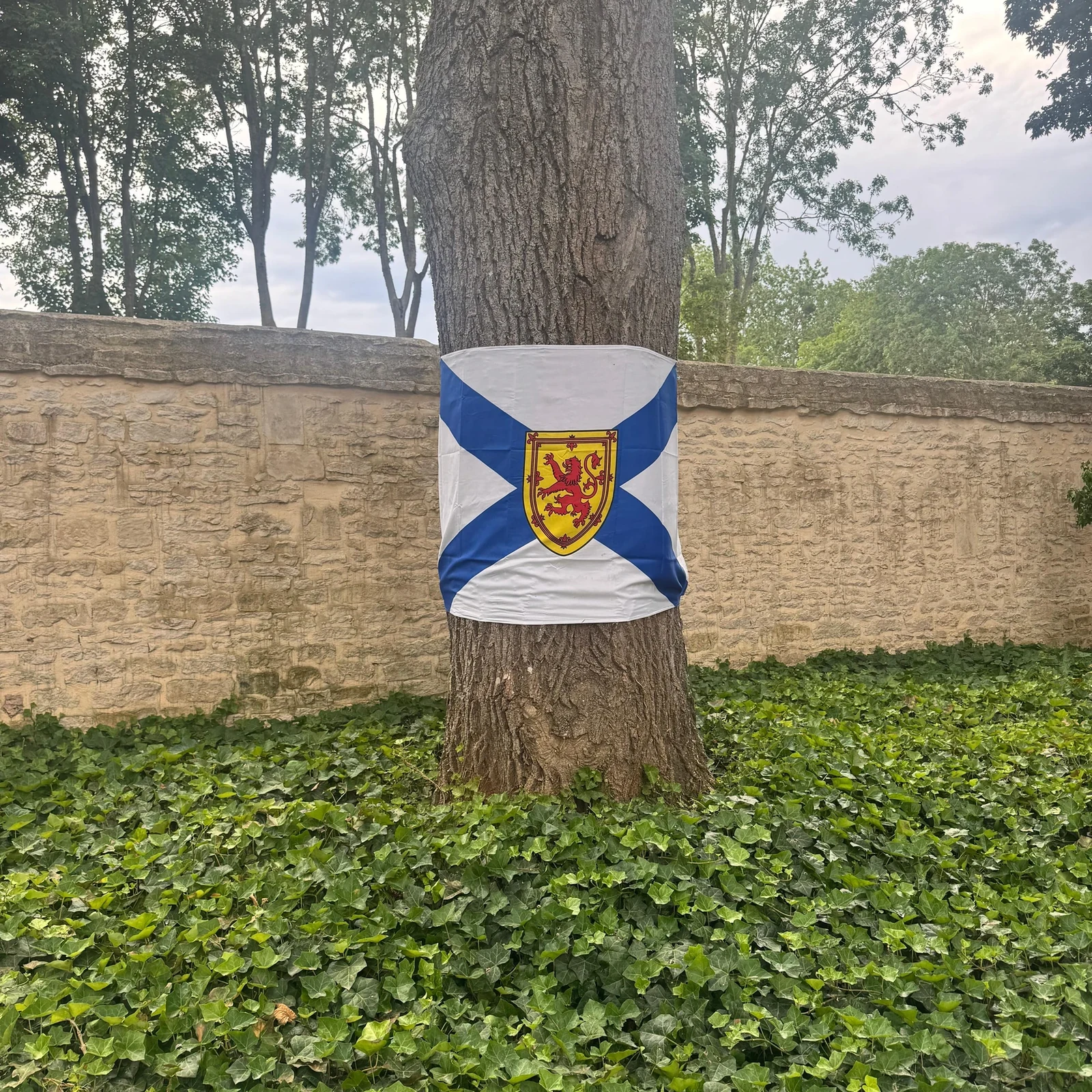 Excursión a Juno Beach desde París: ruta canadiense del Día D