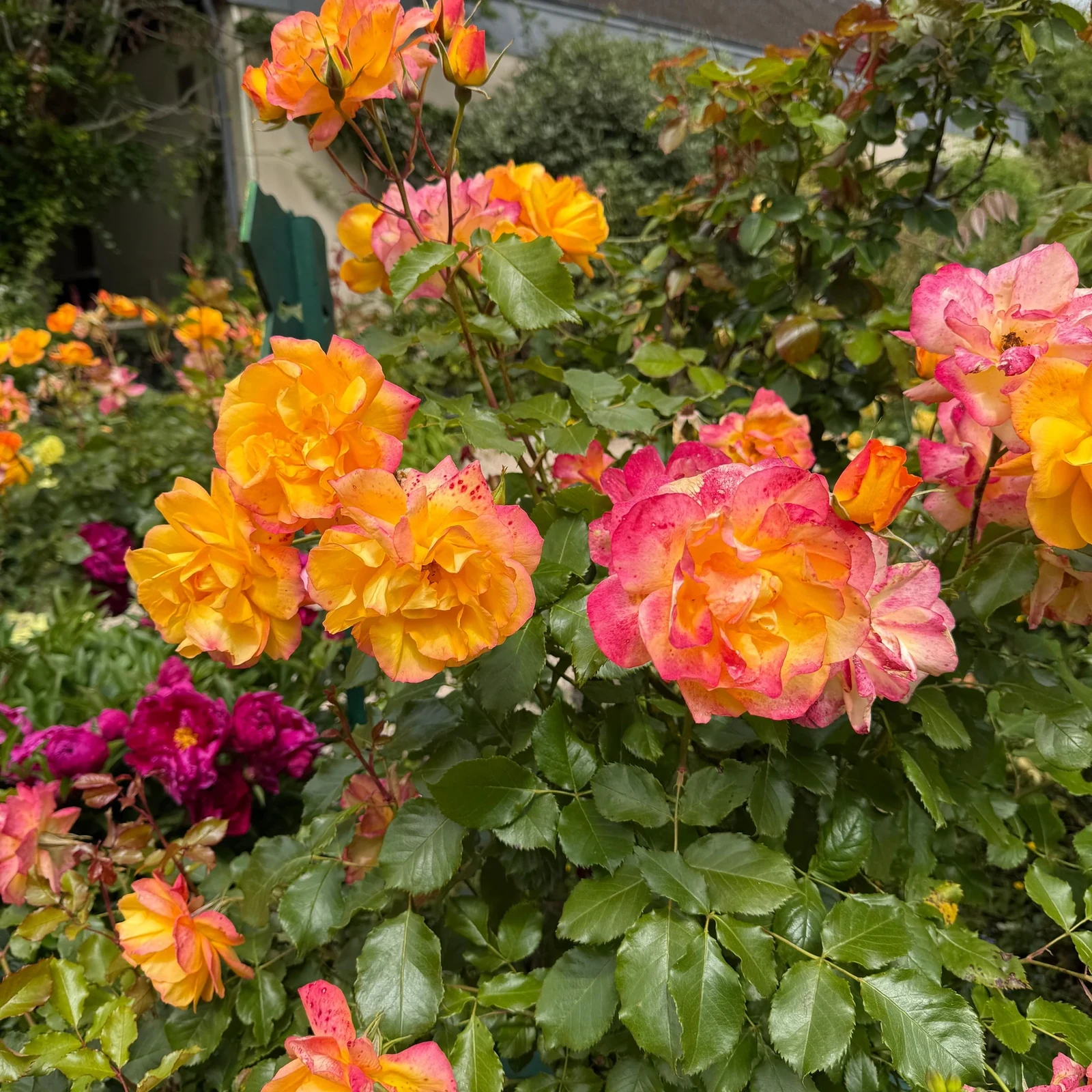 Excursion à Giverny depuis Paris