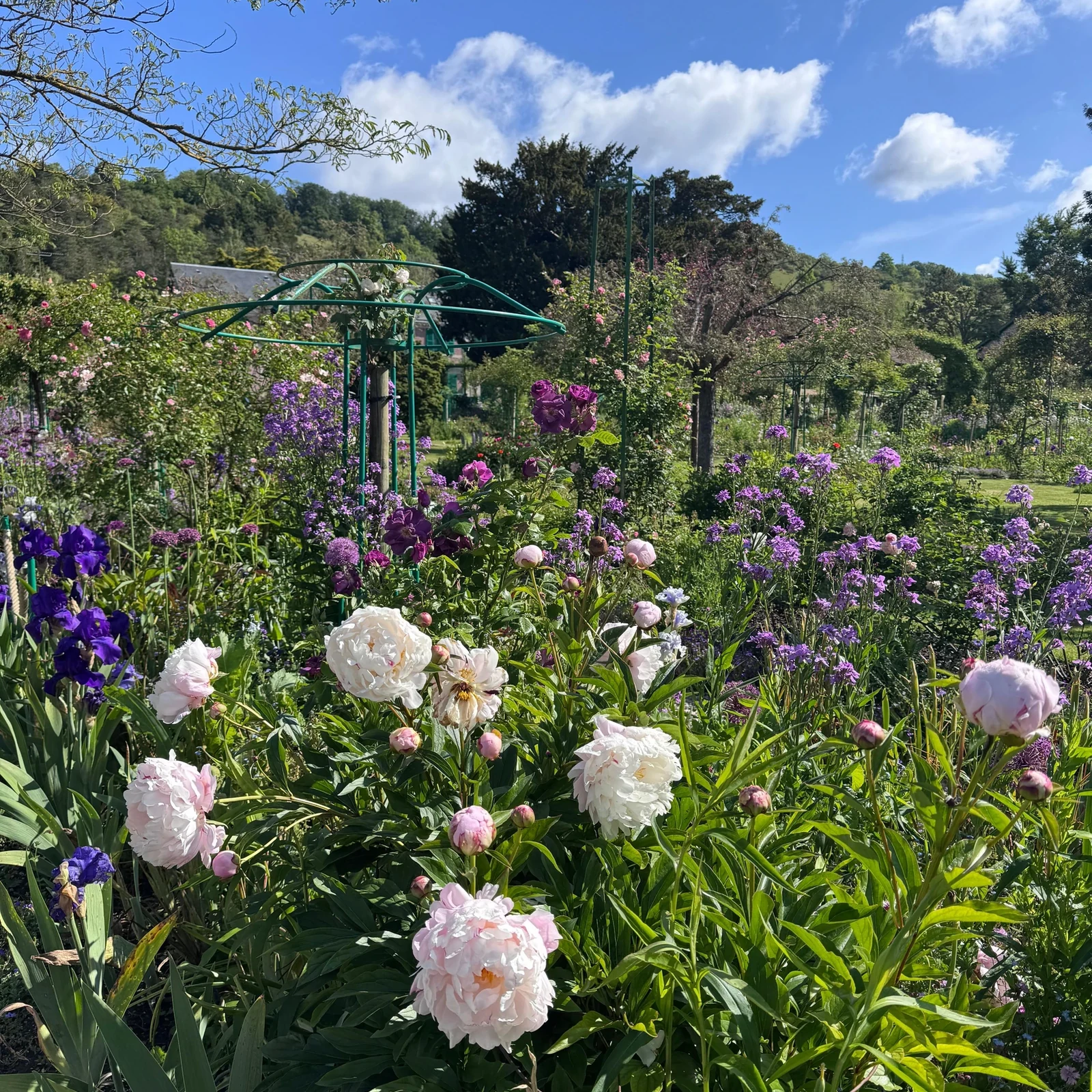 Giverny Half-Day Trip from Paris