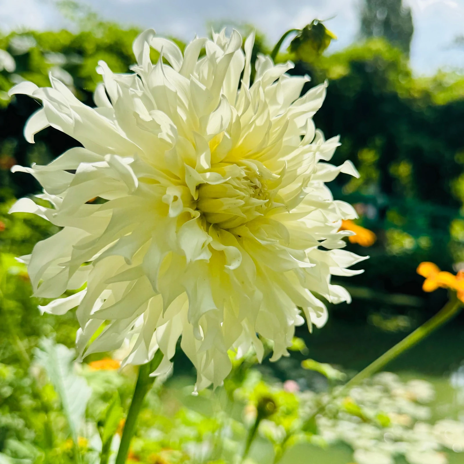 Excursion à Giverny depuis Paris : maison et jardins de Monet
