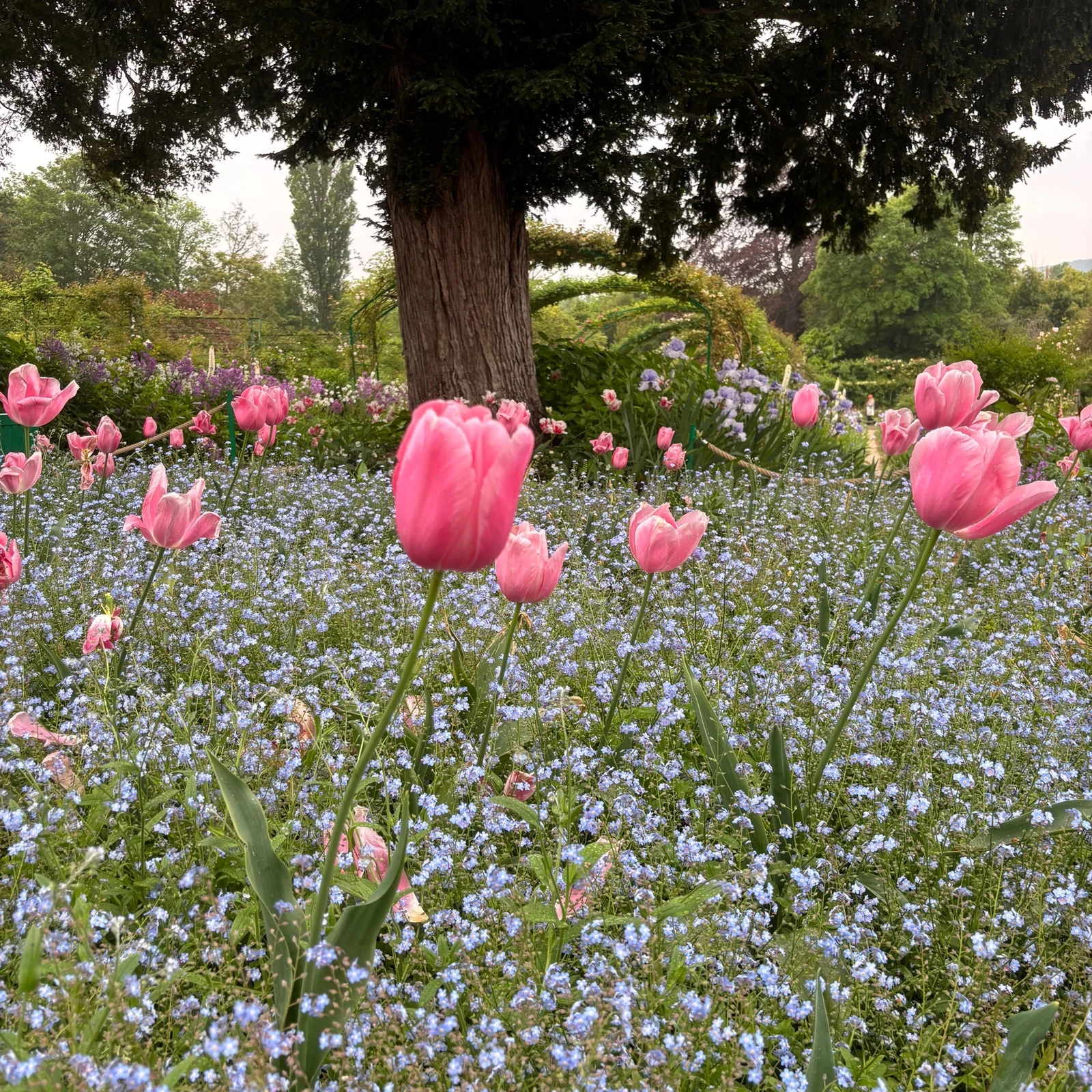 Excursión a Giverny y Versalles desde París en un día