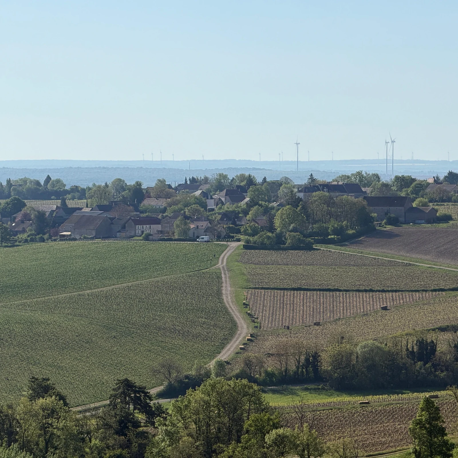 Weinreise ins Burgund ab Paris nach Chablis und zu drei Weingütern