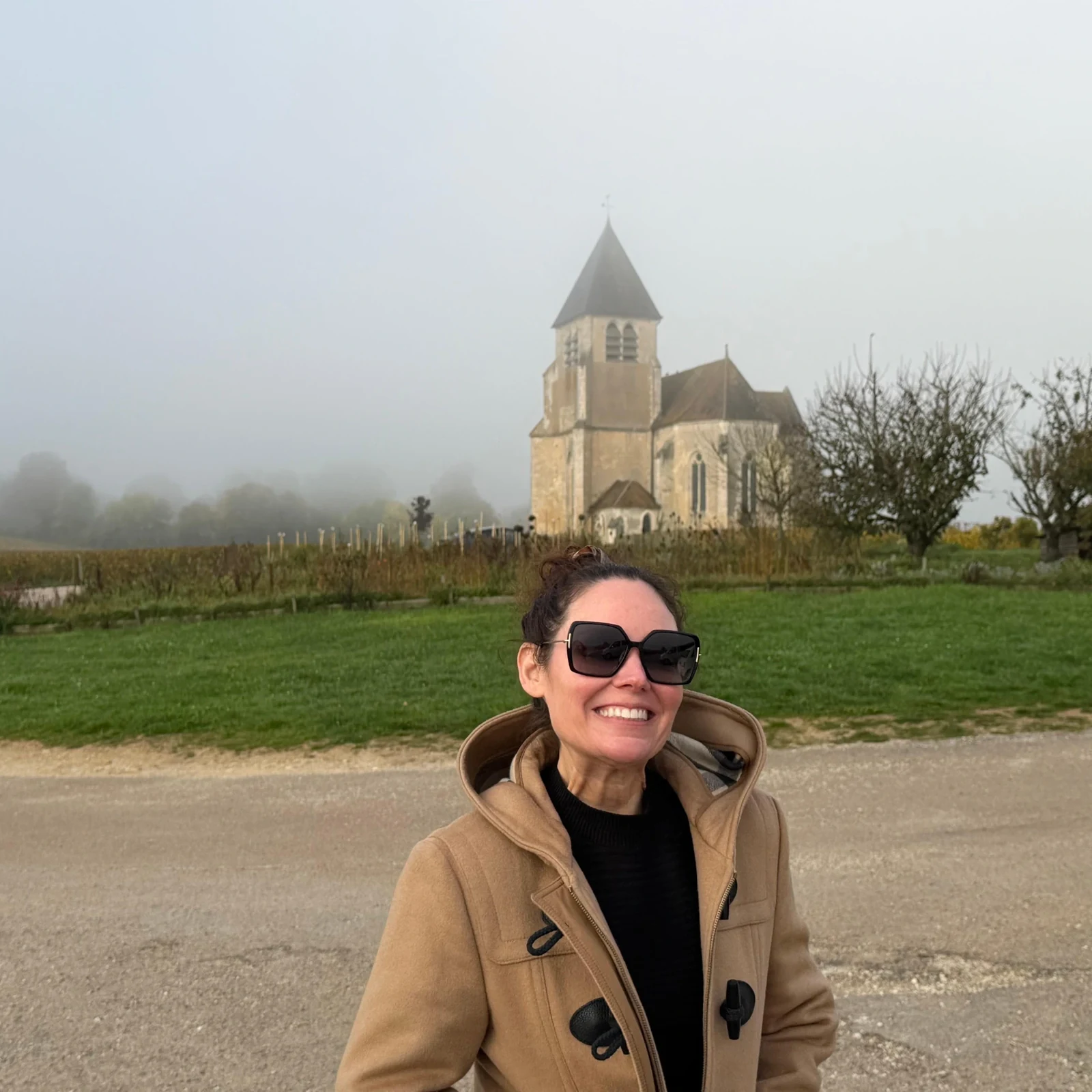 Excursión a Borgoña desde París con cata de vinos en Chablis