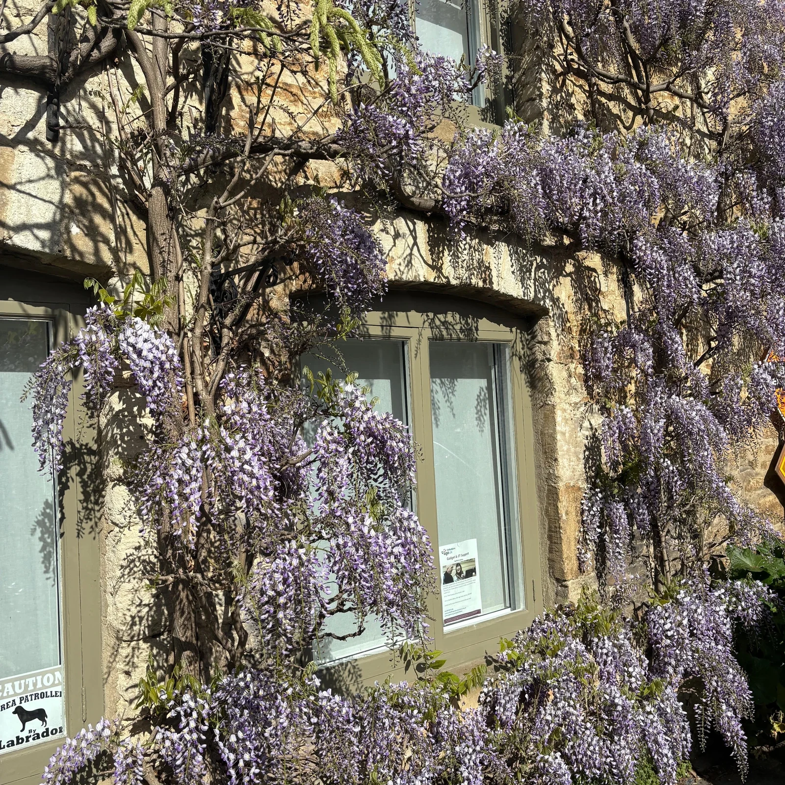 Cotswolds and Oxford Day Trip from London