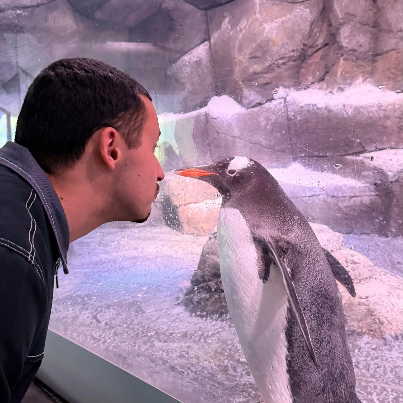 Billet combiné Madame Tussauds, London Eye et SEA LIFE