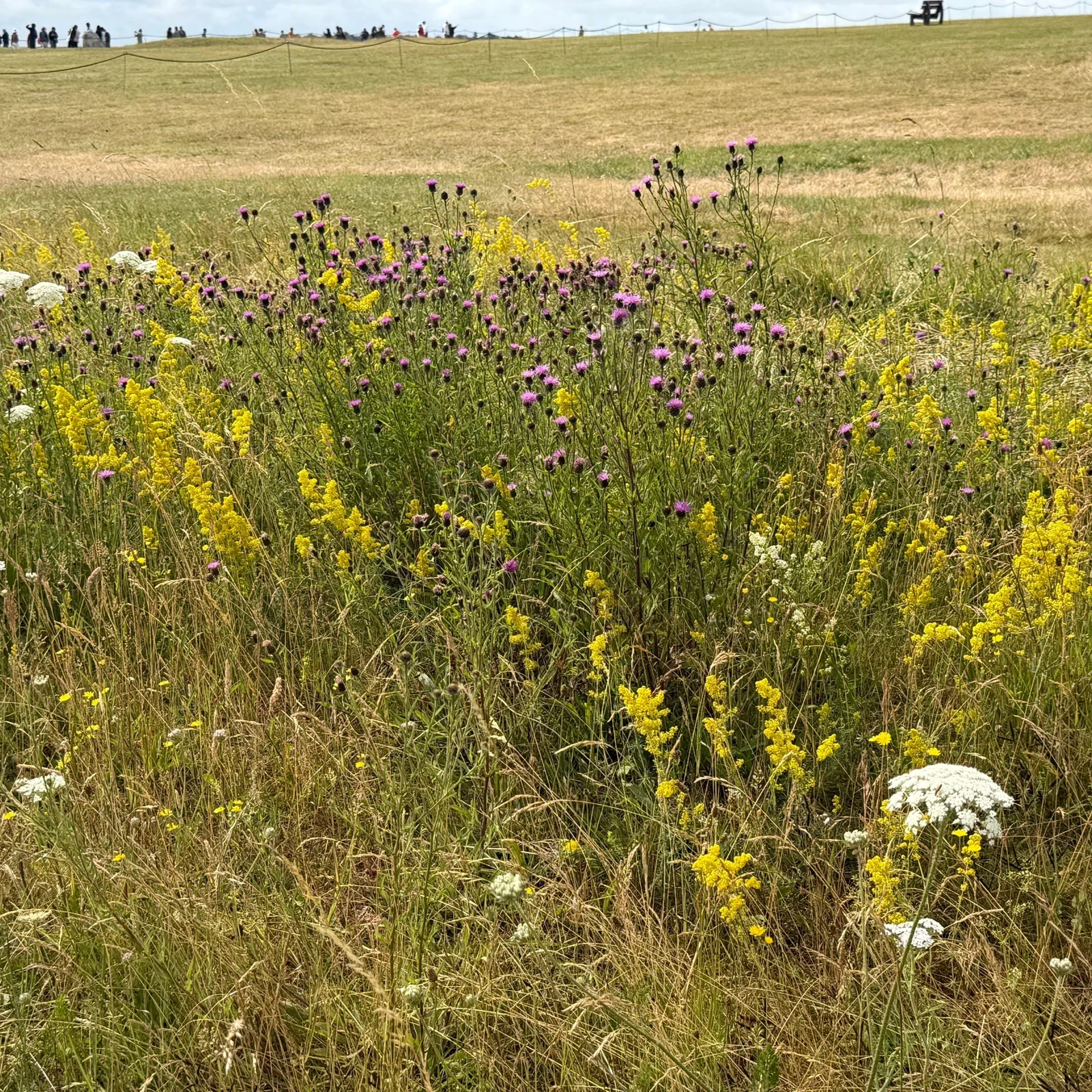 Tagesausflug von London nach Stonehenge und Oxford