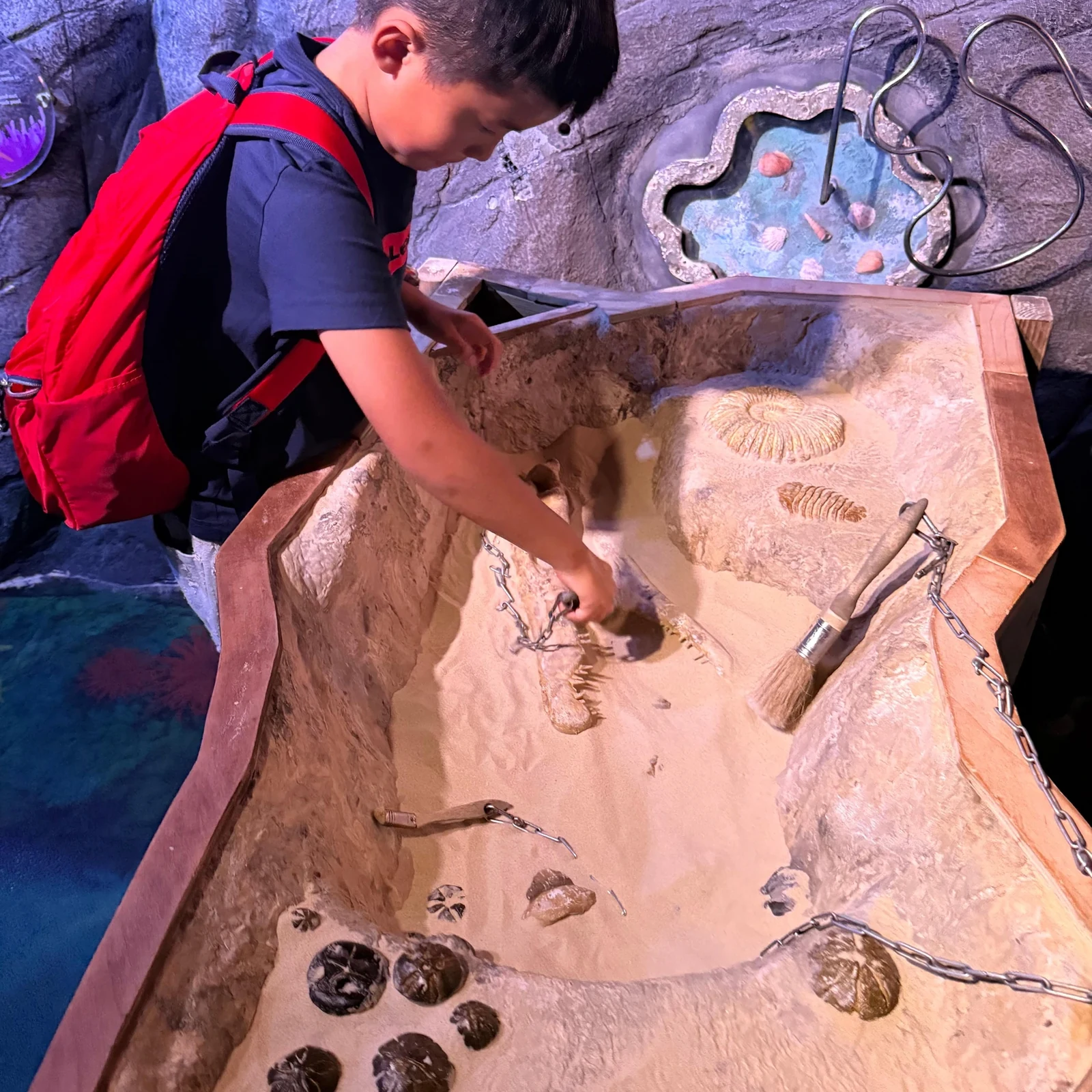 SEA LIFE London und London Eye Kombiticket