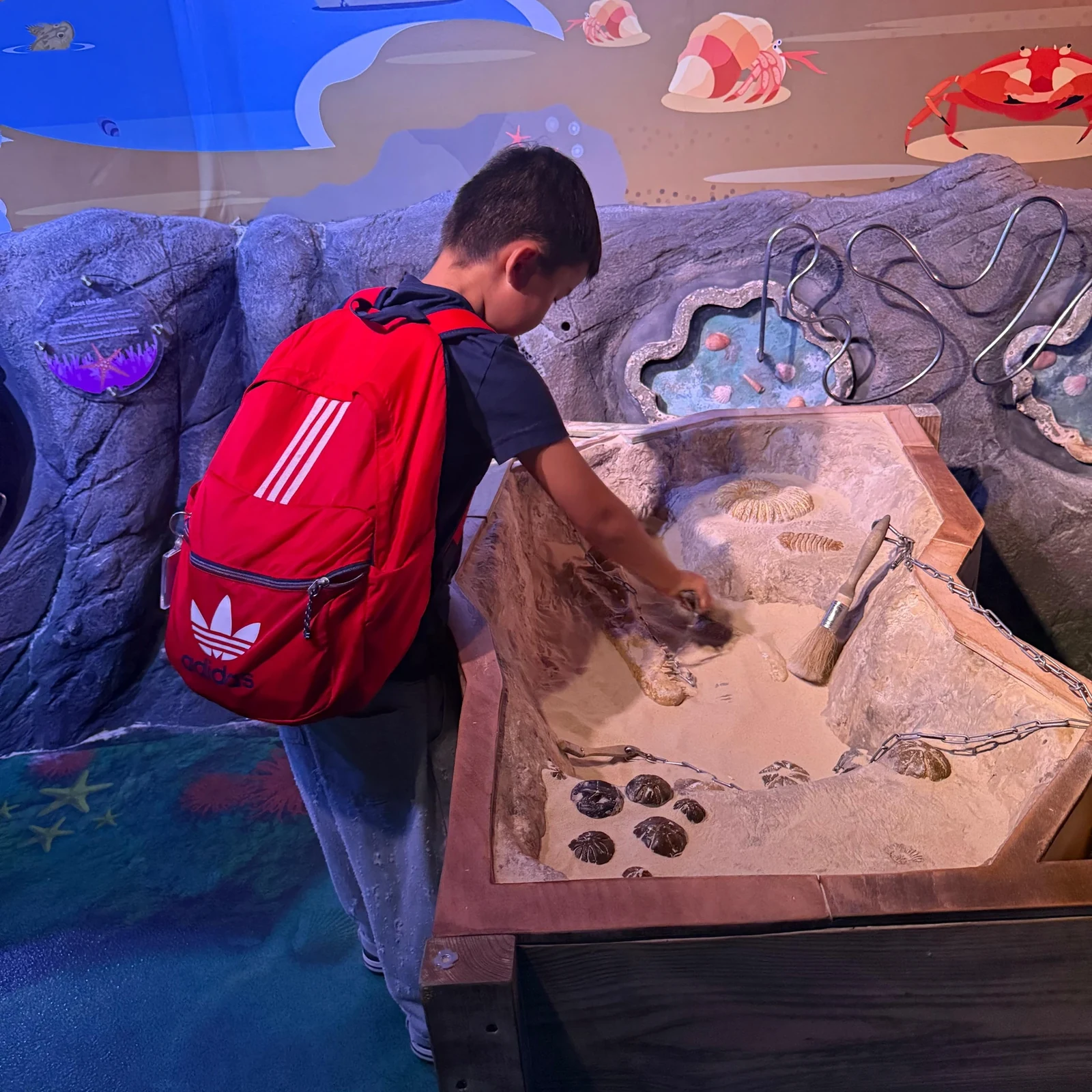 SEA LIFE London und London Eye Kombiticket