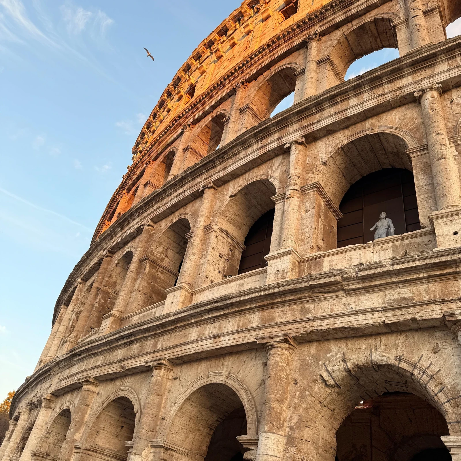 Visite du Colisée au coucher du soleil avec billet et guide