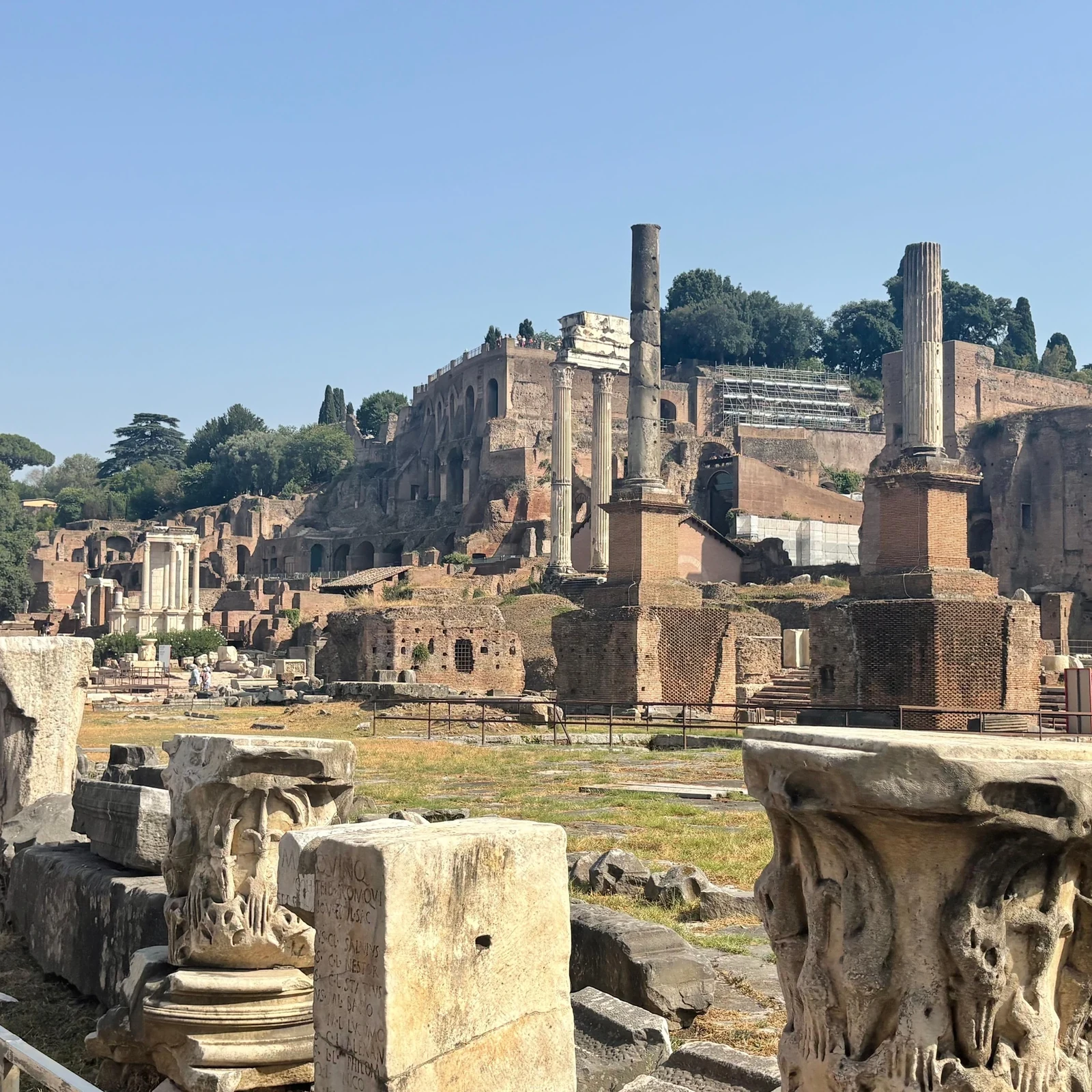 Kolosseum, Palatin und Forum Romanum Führung