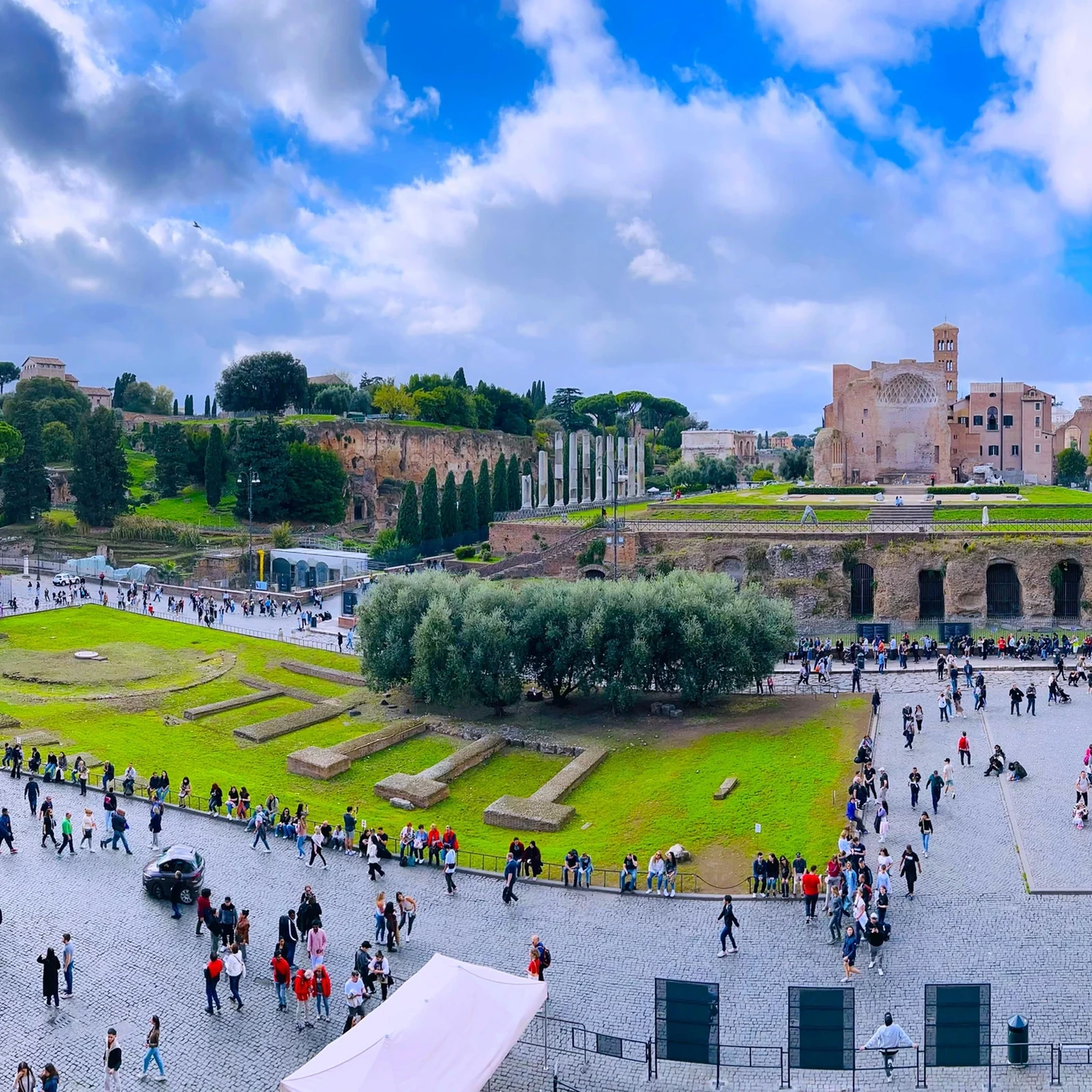 Visite du Colisée avec accès à l’Arène, au Palatin et au Forum romain