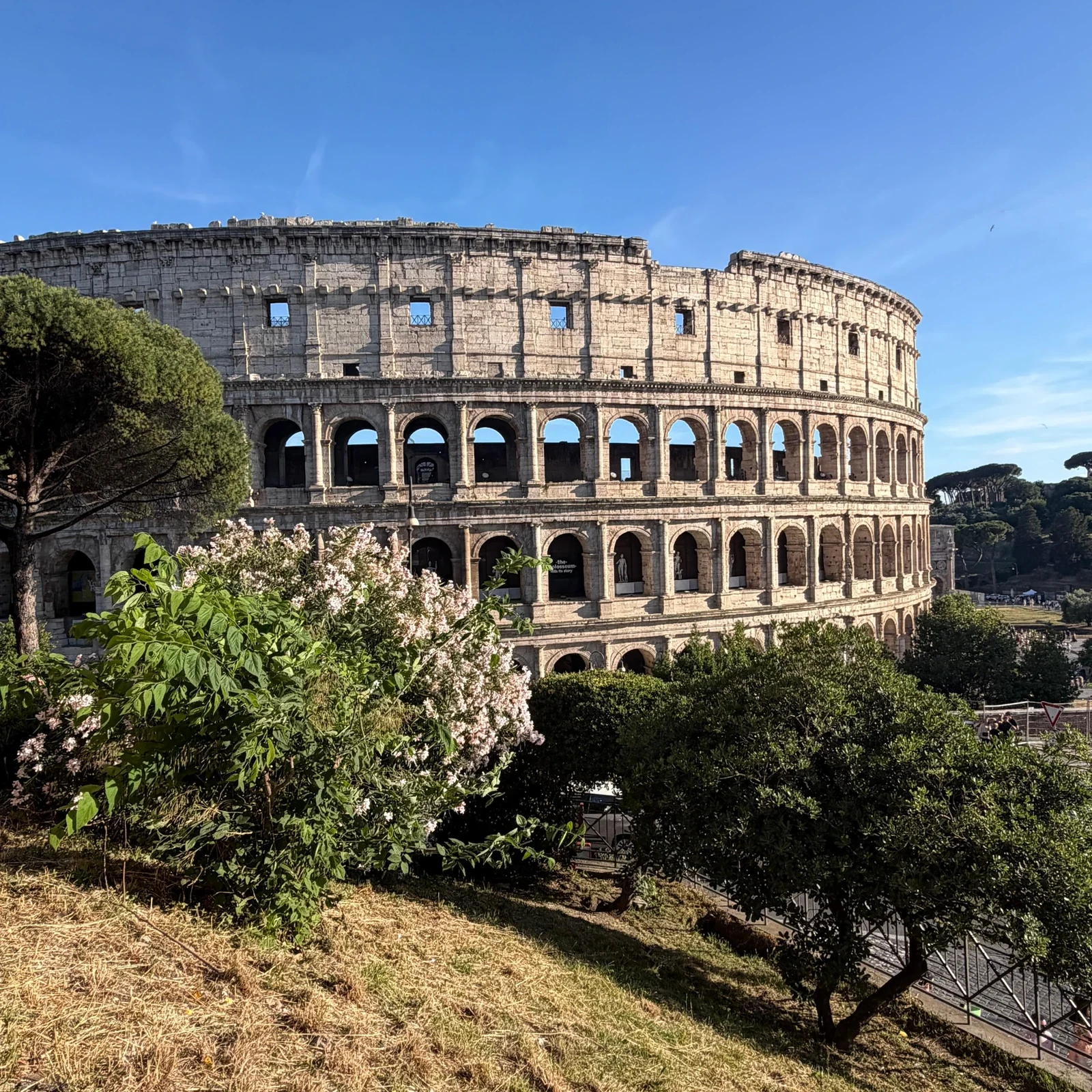 Rome Colosseum evening tour with a guide and reserved entry