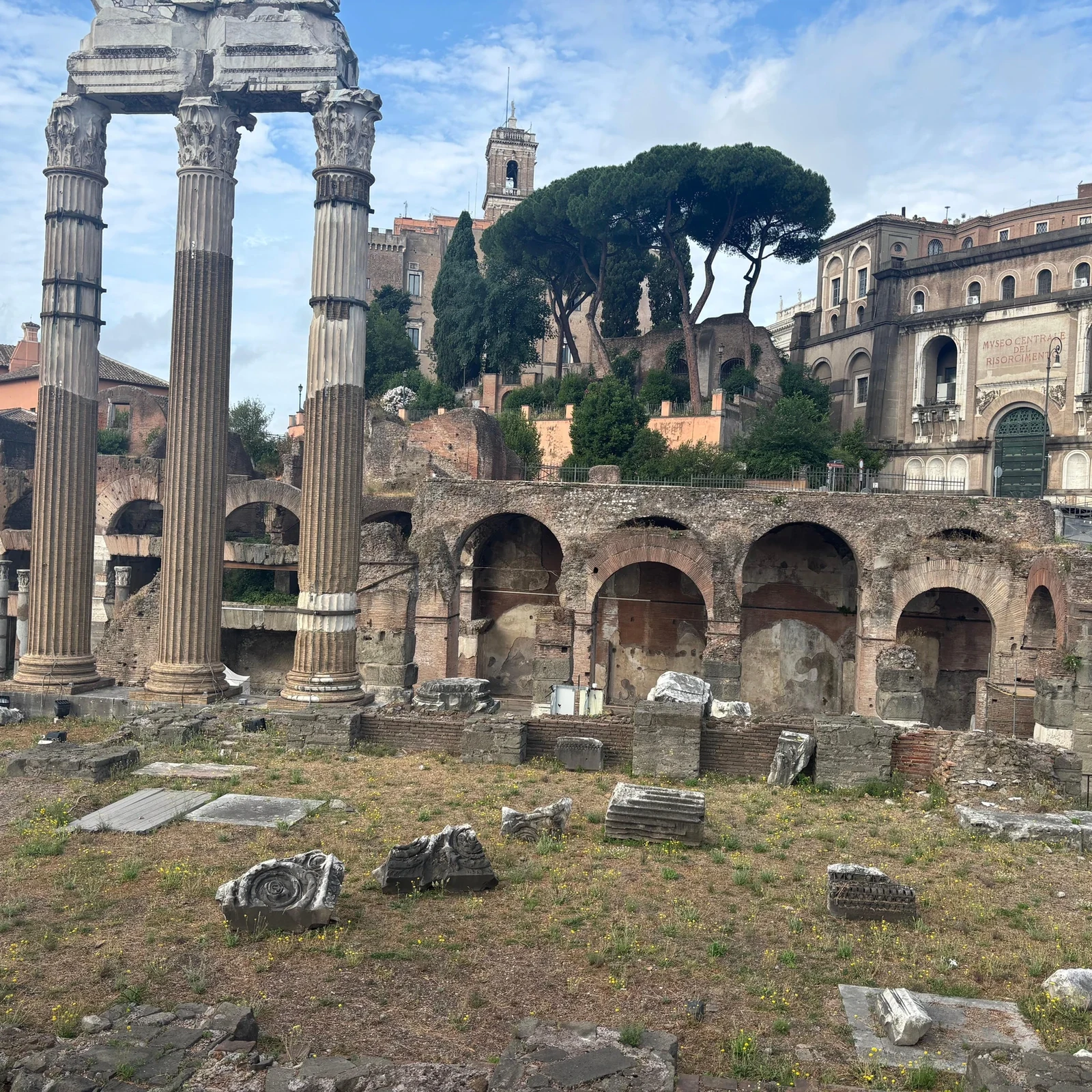 Tour guiado por el Coliseo, Foro Romano y Palatino