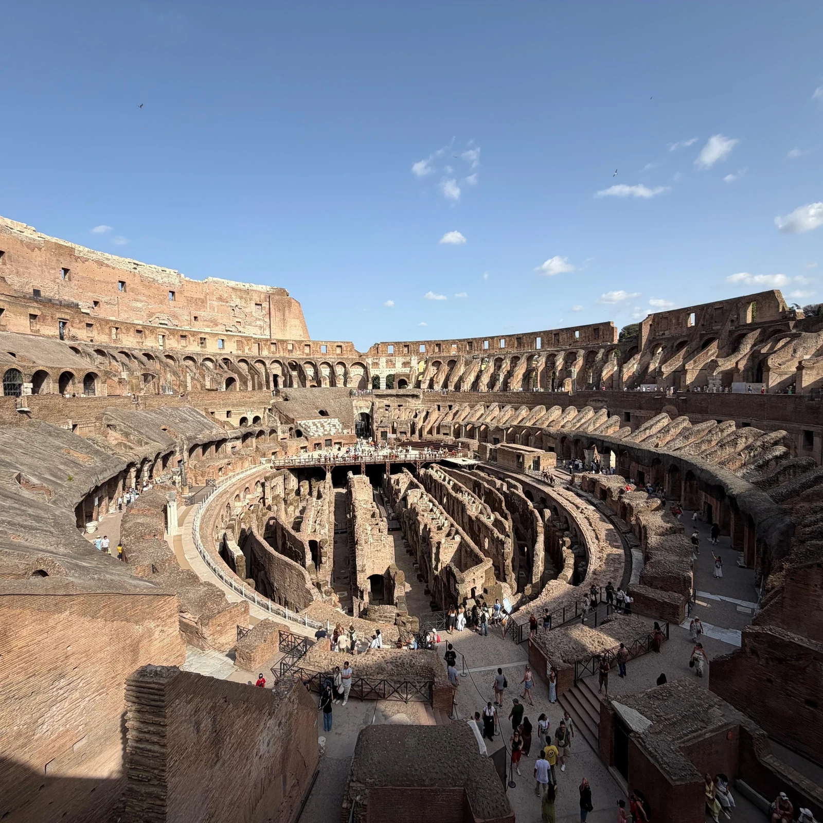 Tour guiado por el Coliseo, Foro Romano y Palatino