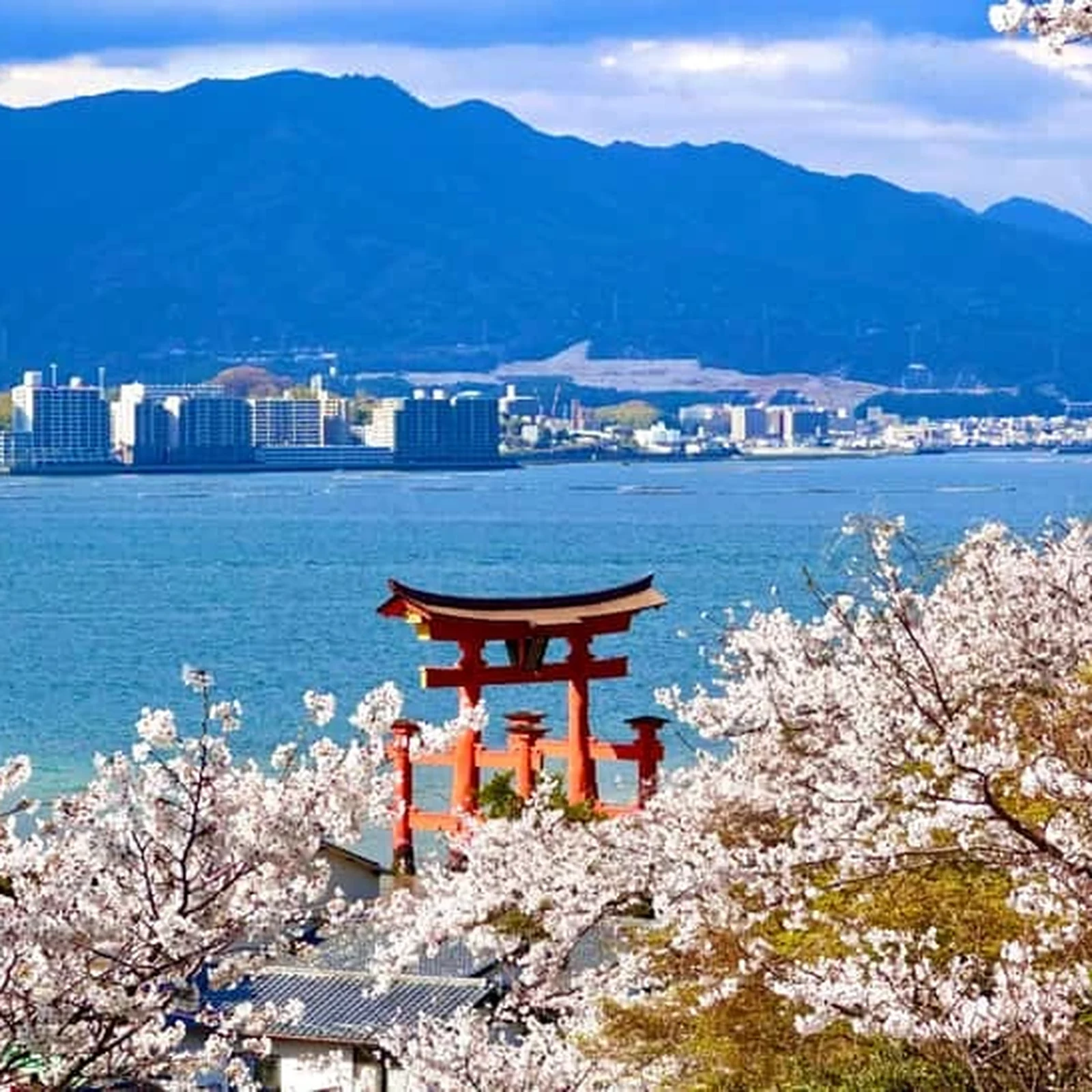 Hiroshima Miyajima Tagestour: Geschichte, Tempel und Fähre
