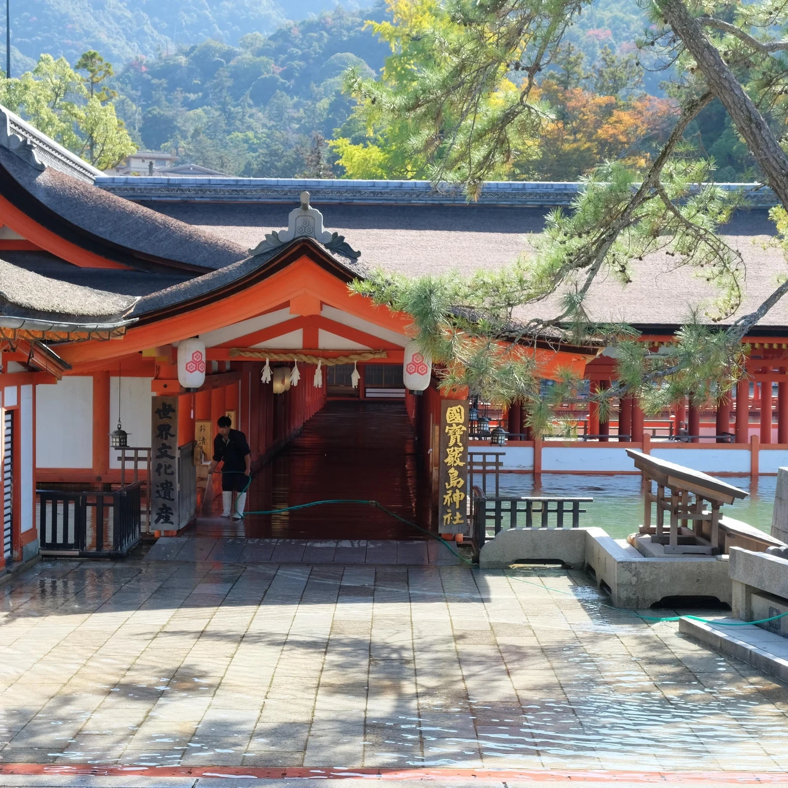 Tour Hiroshima y Miyajima en 6 horas con guía local