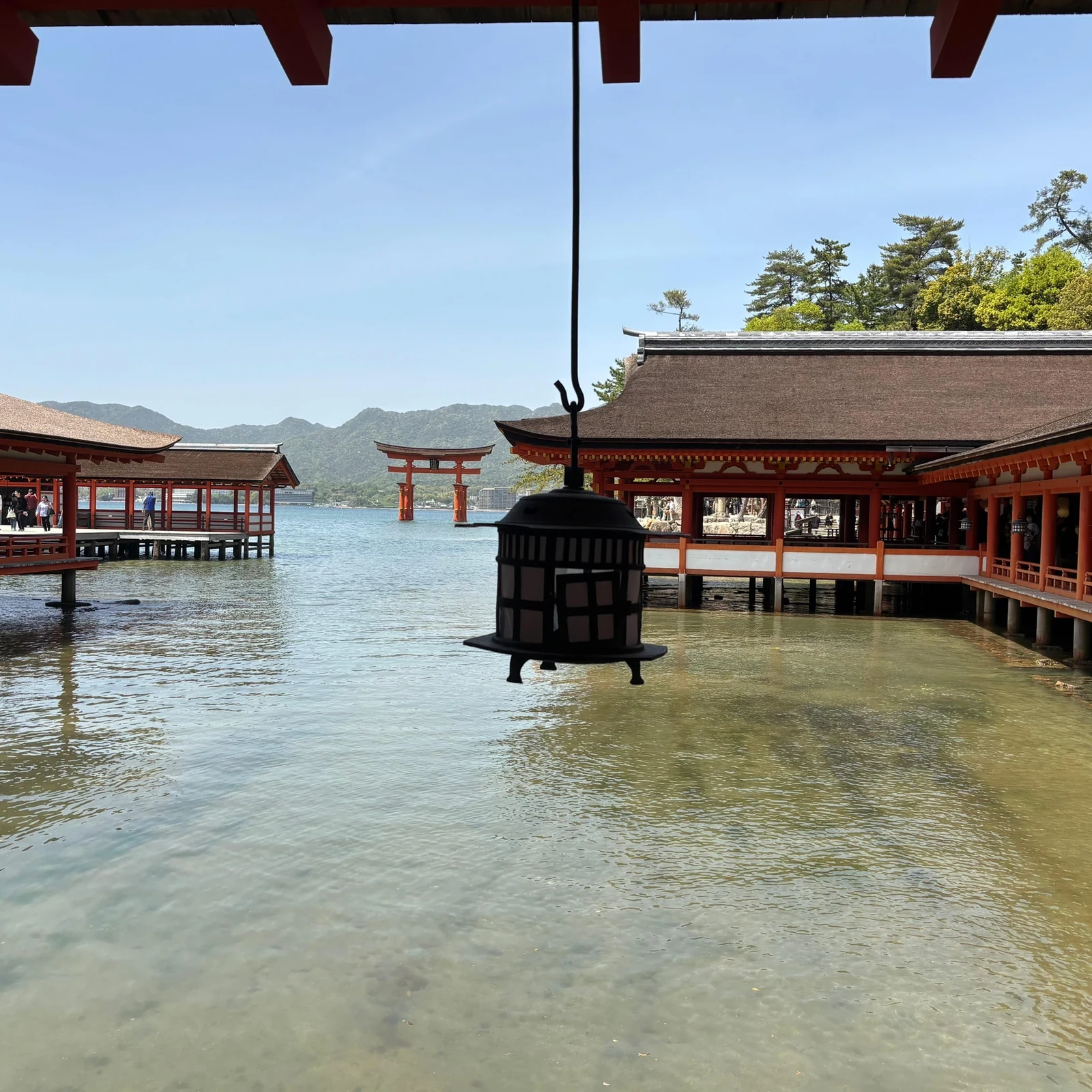 Visite guidée de Miyajima et du torii flottant