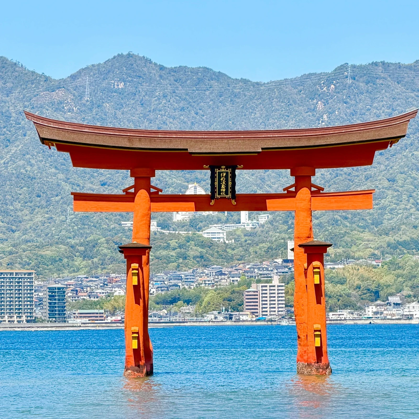 Hiroshima and Miyajima guided tour in one day