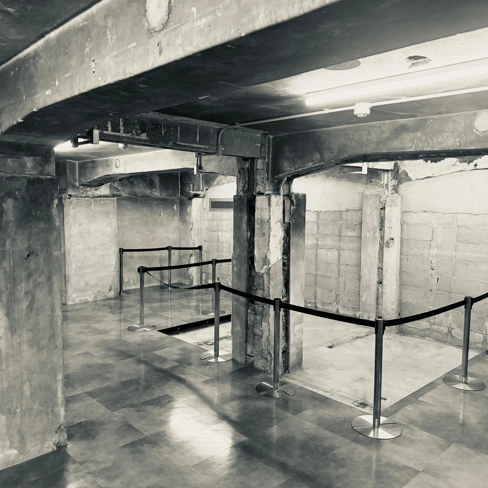 Tour por el Parque Memorial de la Paz de Hiroshima: Walking Through History