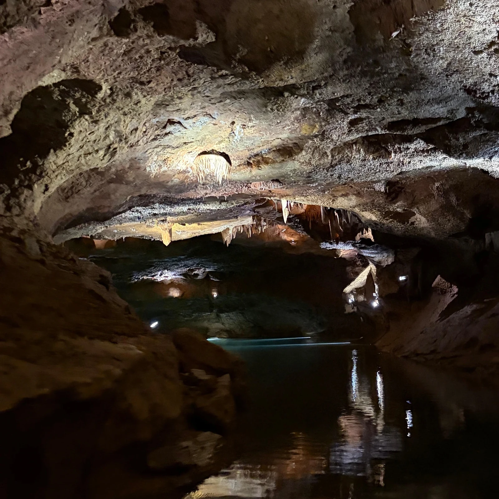 Excursion aux grottes de San José depuis Valence : bateau et guide