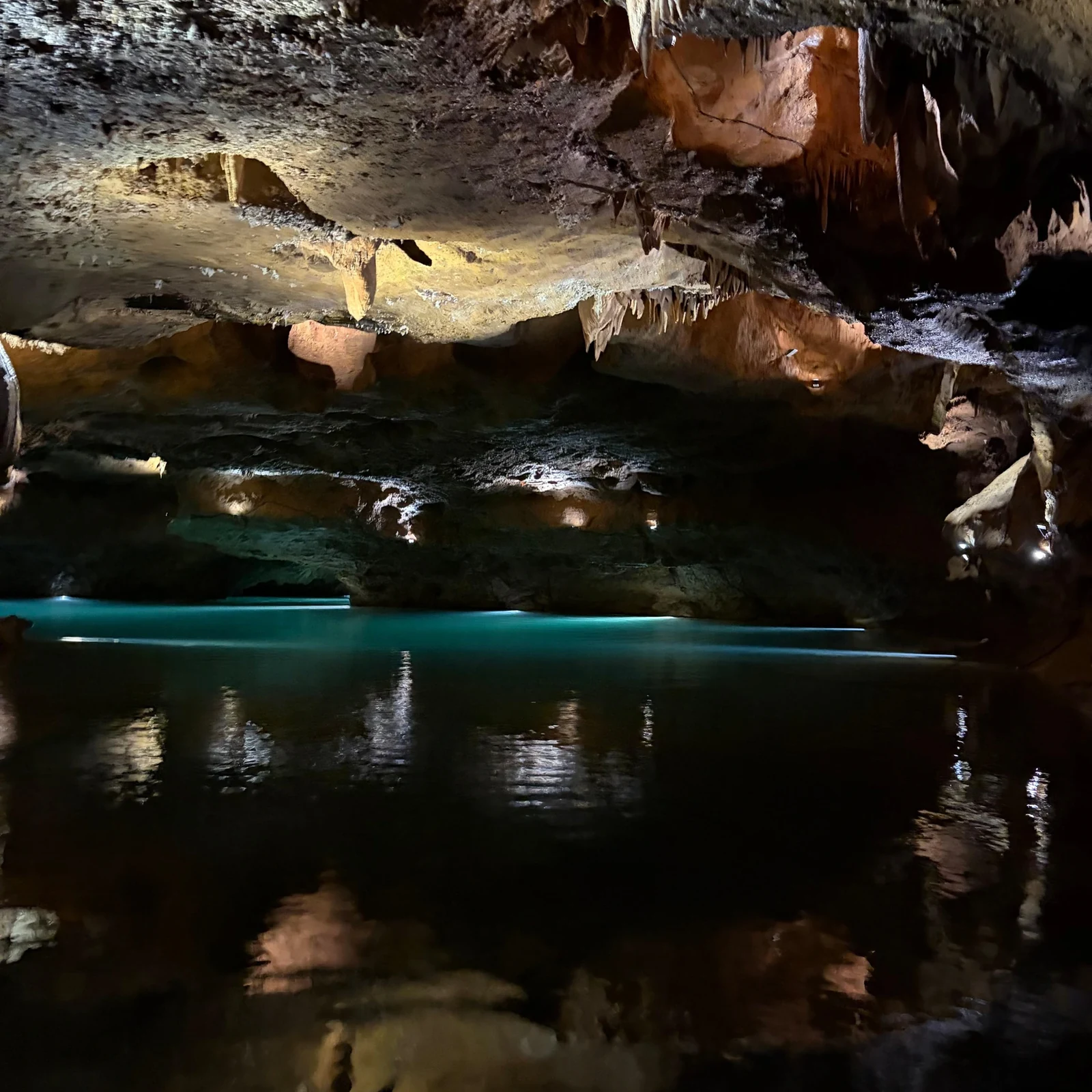 Excursion aux grottes de San José depuis Valence : bateau et guide