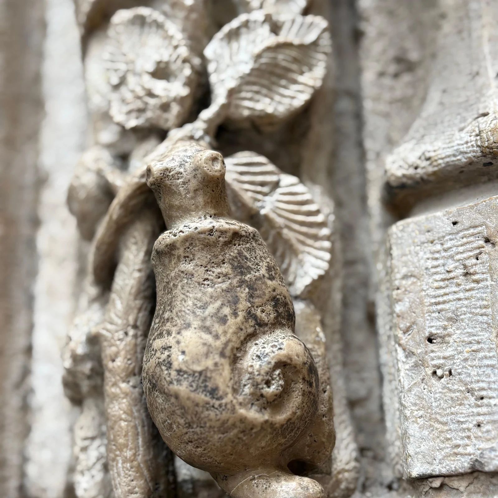 Visite guidée de la cathédrale de Valence, San Nicolás et la Lonja de la Seda