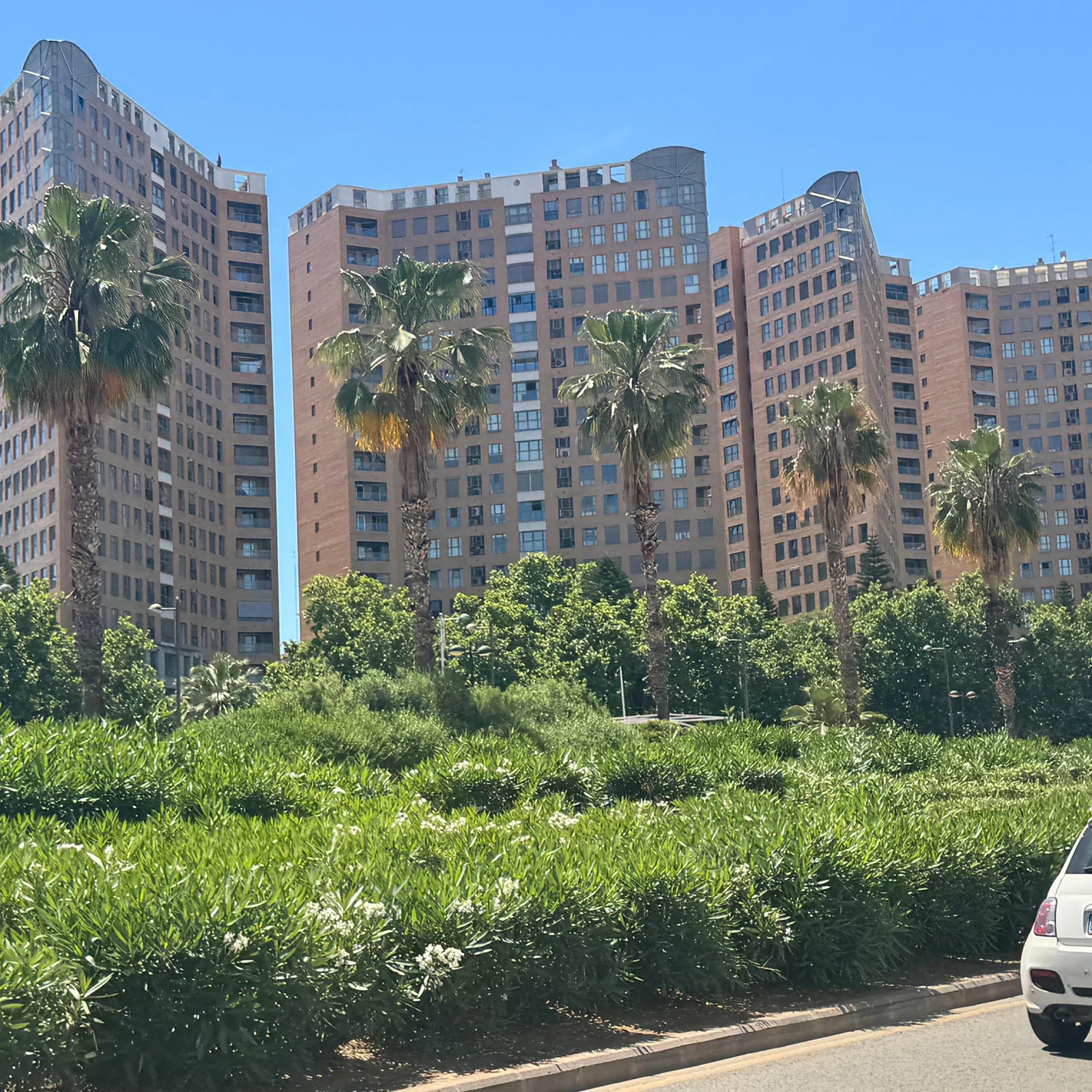 Tuk-Tuk-Tour durch Valencia im elektrischen Fahrzeug