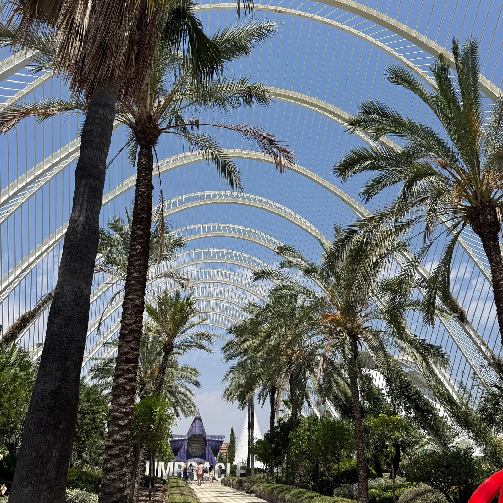 Tuk-Tuk-Tour durch Valencia im elektrischen Fahrzeug