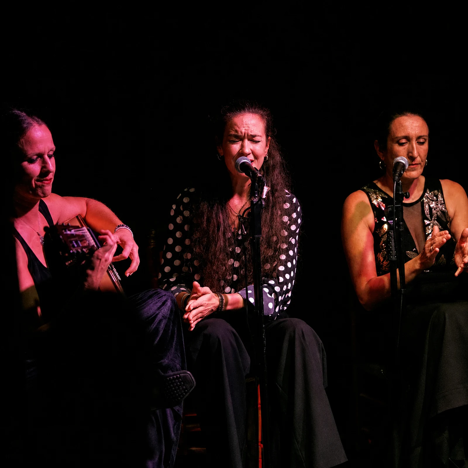 Espectáculo de flamenco en Valencia en directo