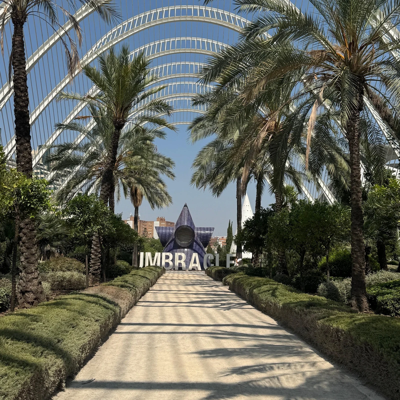 Valencia Bike Tour: discover more than 25 city highlights