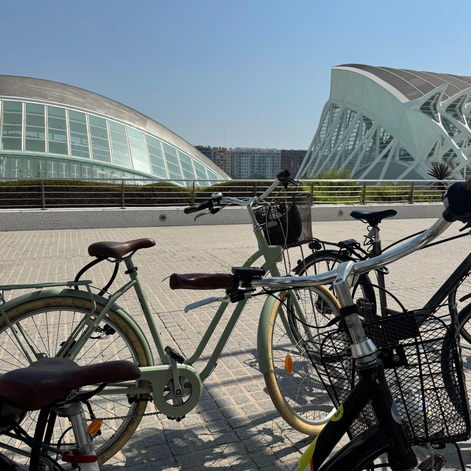 Valencia Bike Tour: discover more than 25 city highlights