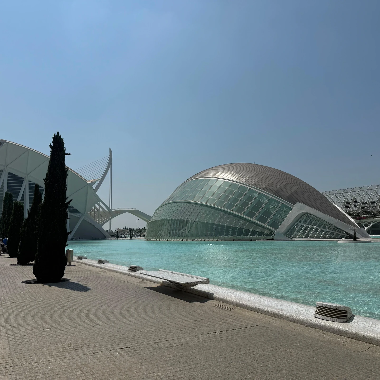 Valencia Bike Tour: discover more than 25 city highlights