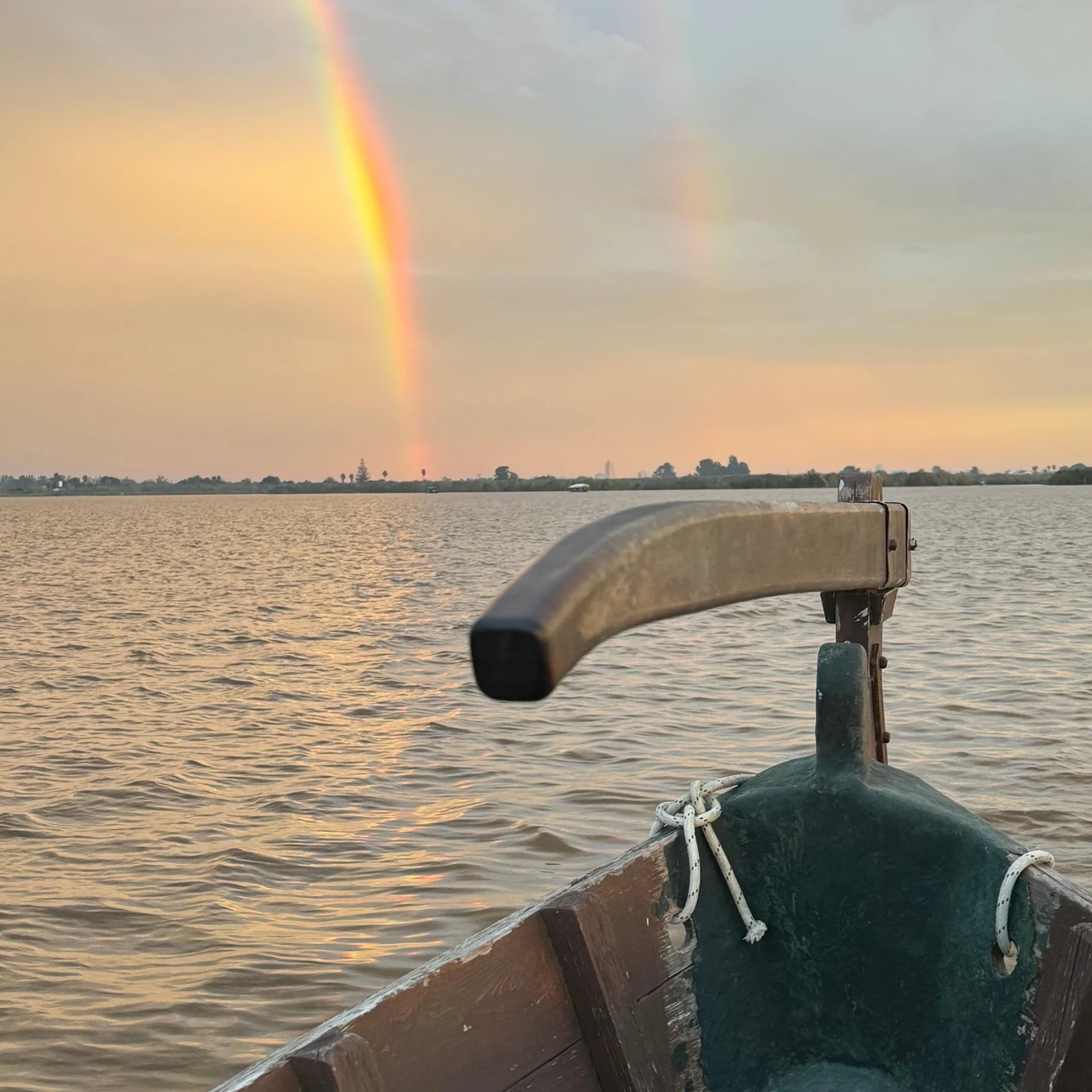 Albufera Valencia Boat Ride by Electric Boat