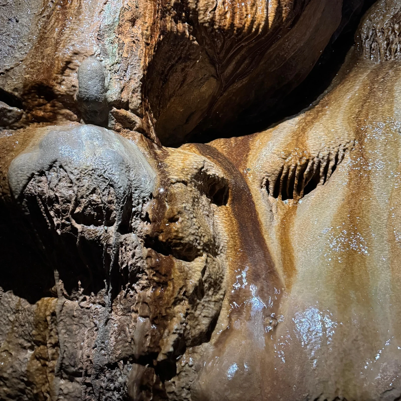 Excursion aux grottes de San José depuis Valence avec promenade en barque