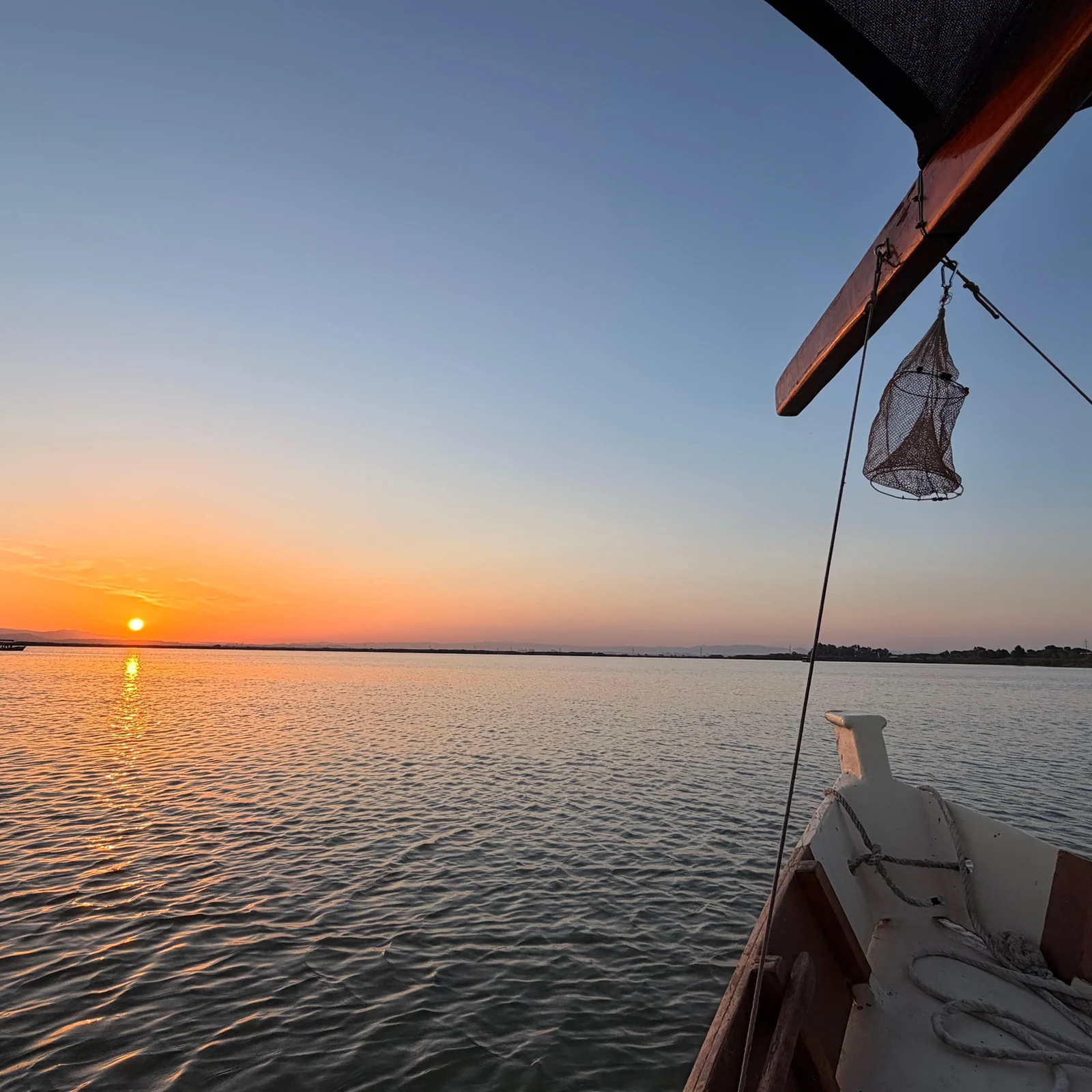 Albufera Tour from Valencia with a Sunset Boat Ride