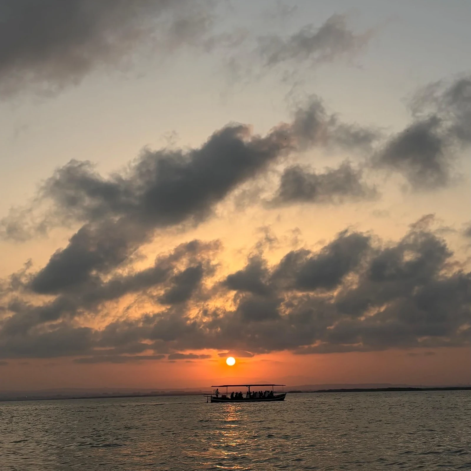 Albufera Tour from Valencia with a Sunset Boat Ride