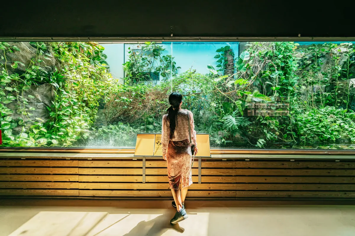 Barcelona Zoo tickets: a day among 4,000 animals in the city centre