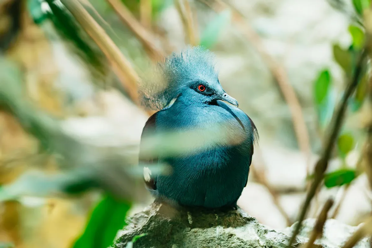 Barcelona Zoo tickets: a day among 4,000 animals in the city centre