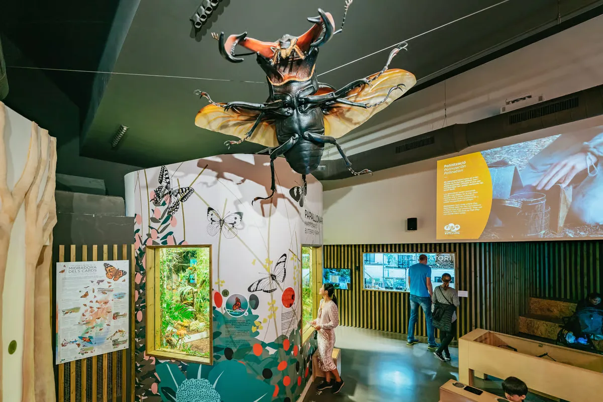Barcelona Zoo tickets: a day among 4,000 animals in the city centre
