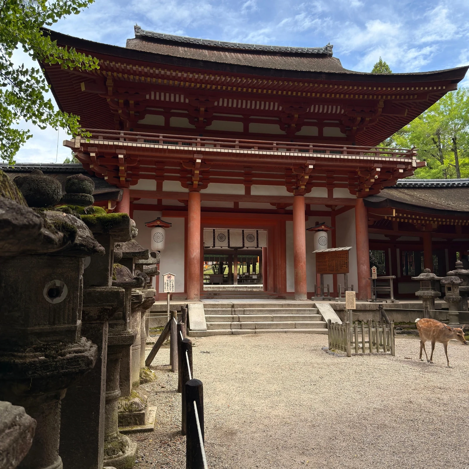 Tour de Nara desde Kioto u Osaka a primera hora: descubre sus imprescindibles antes de las multitudes
